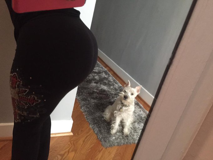 #selfie #BIGBUTTS #Schnauzer http://t.co/Jm8FiWeK8m<a href="/tag/selfie"class="tags">#selfie</a><a href="/tag/bigbutts"class="tags">#BIGBUTTS</a><a href="/tag/schnauzer"class="tags">#Schnauzer</a>