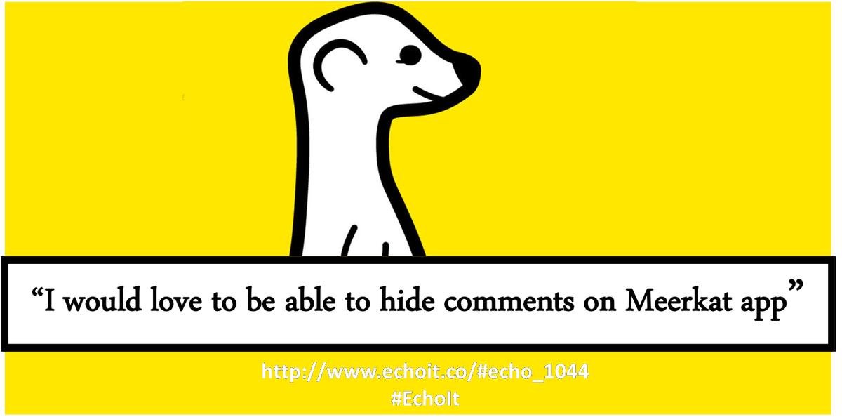 echoit_'s tweet photo. Users are echoing their suggestions for #Meerkat! What features would YOU like to see?? #Echoit #BeHeard http://t.co/WCeSHLKr2P