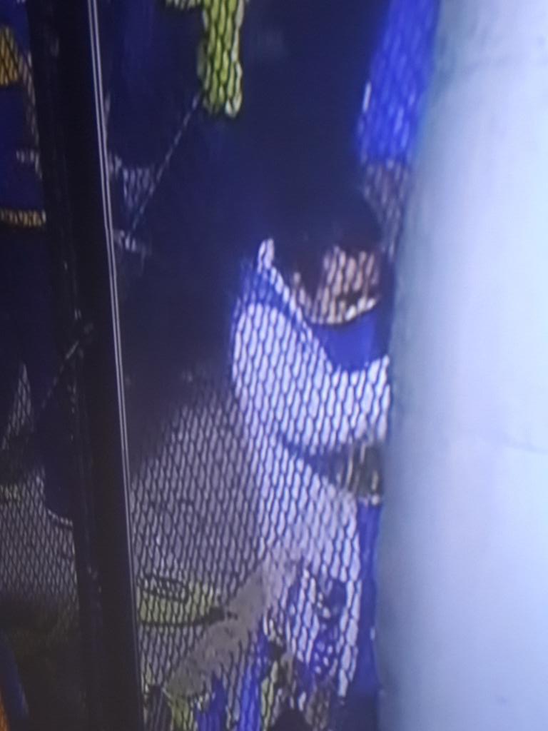 archi_leonardo's tweet photo. Esto no es un jugador de boca.es un cabeza http://t.co/0UENzLsCSw