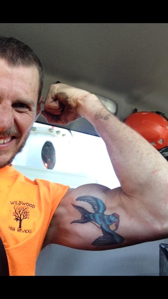 ShredPilgrim's tweet photo. #trees and #chainsaws make for a great #gym #arborist #treecutter #wildwood #davidjeffrey #NewBrunswick http://t.co/p4J1N5xEdA