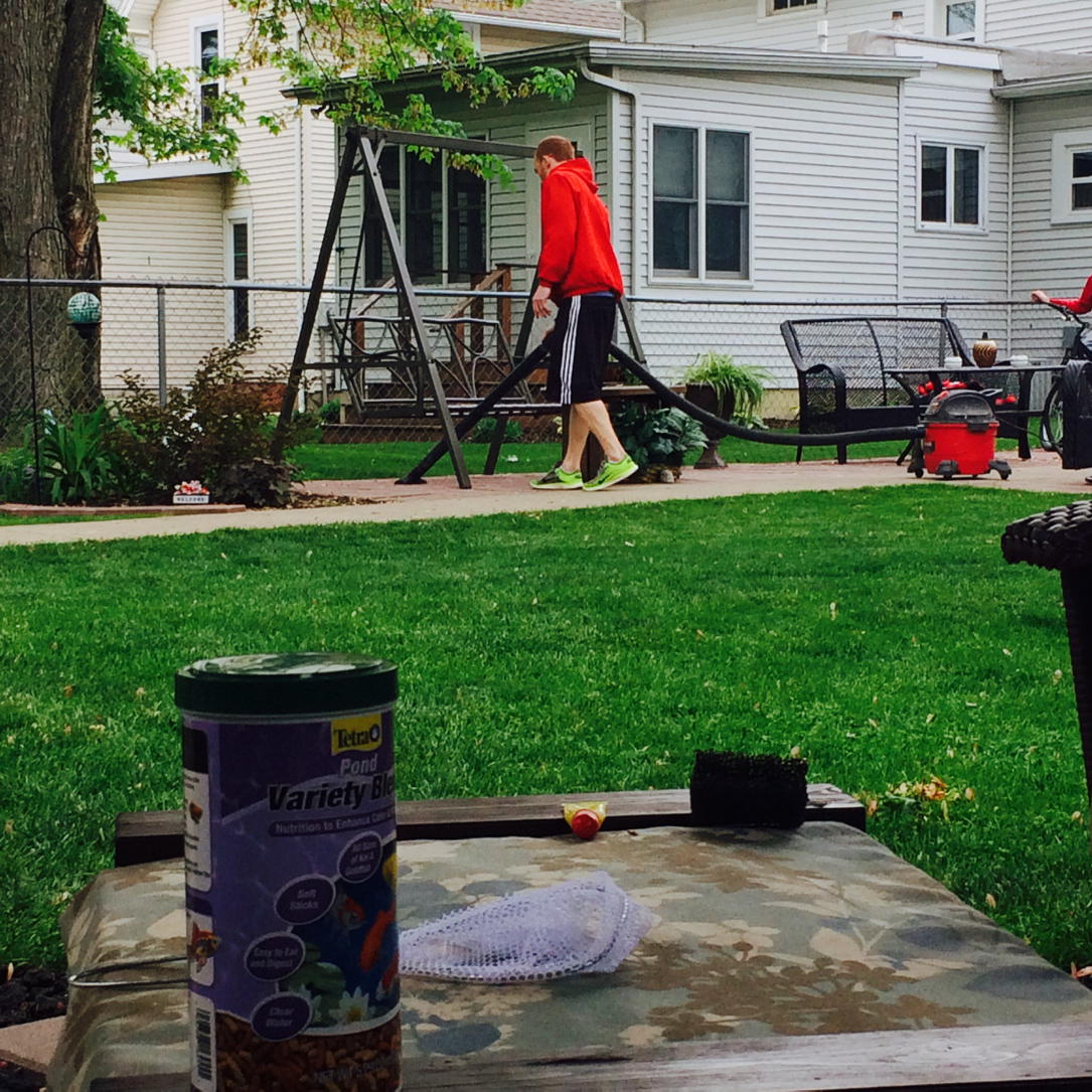 Cate2305's tweet image. That's how you clean up those stupid #mapleseeds @PatErRick_44