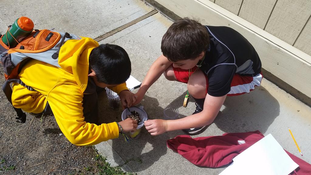 LMSprincipals's tweet image. Purifying water during 5th grade camp.  LMS teacher comes to camp and brings STEM enthusiasm. #awspstem #lmsproud