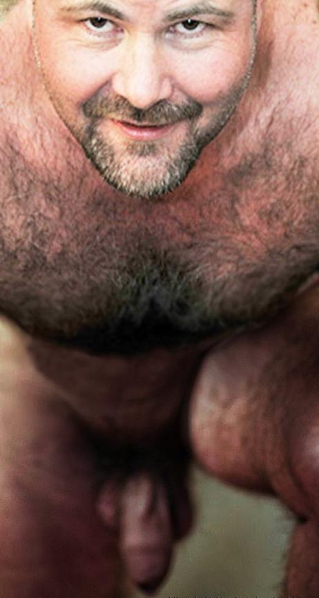 Enlace permanente de imagen incrustada