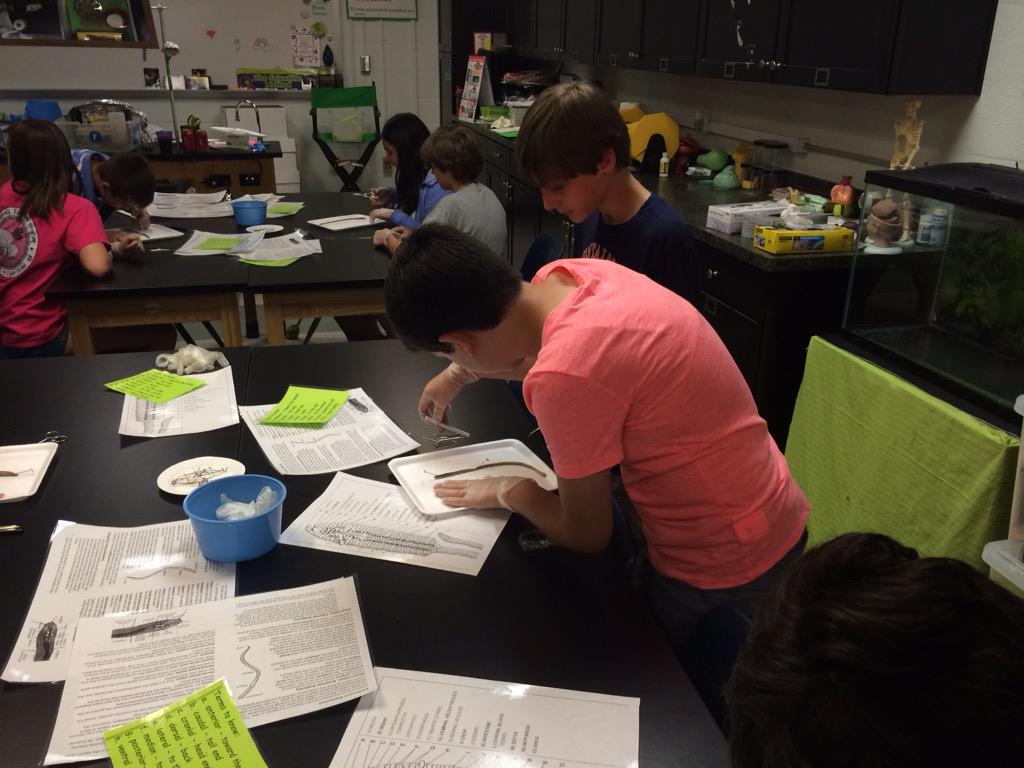John Weigand (@theacademicarmy) on Twitter photo <a href="/RNE_Foundation/">RNE Foundation</a> <a href="/rneprincipal/">Dr. Lydia Conway</a> Kids enjoyed their worm dissection in the sci lab. Thx Holly Smith! <a href="/RNE_Foundation/">RNE Foundation</a> <a href="/rneprincipal/">Dr. Lydia Conway</a> Kids enjoyed their worm dissection in the sci lab. Thx Holly Smith!