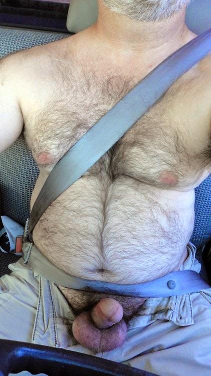 Enlace permanente de imagen incrustada