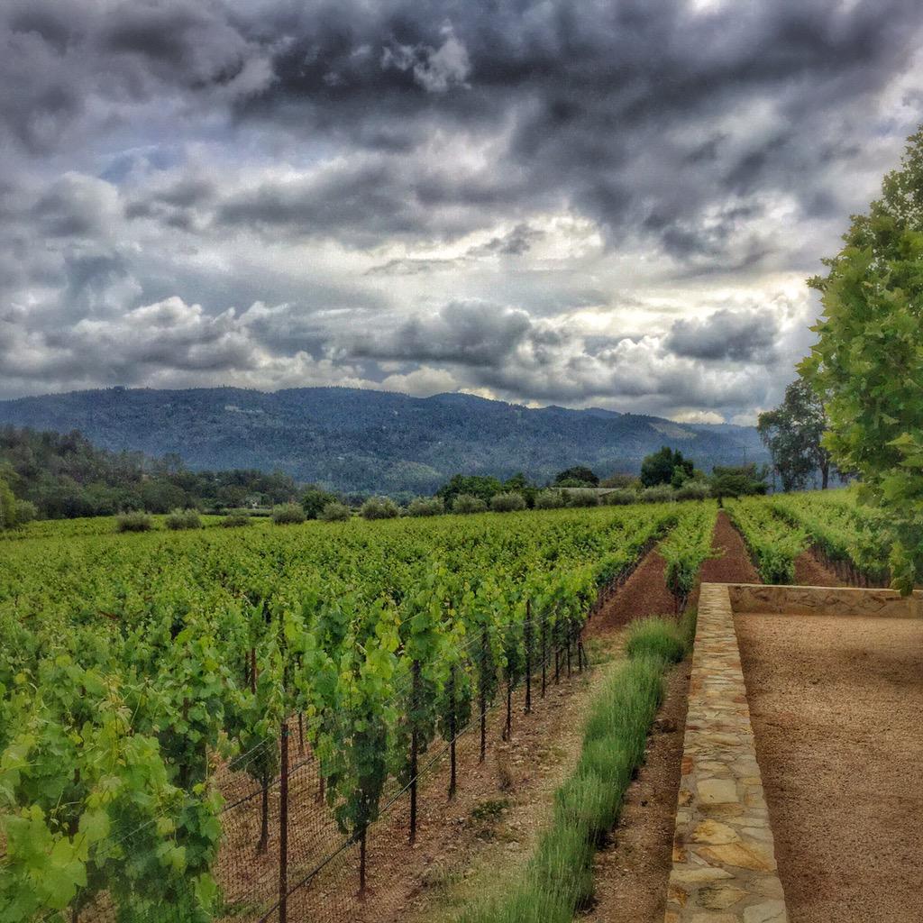 UberNV's tweet photo. @KellyFlemingCab Beautiful day for #wine tasting in #Calistoga 🍷Cheers #UberNV

https://t.co/20Wj191jco http://t.co/wzGMVtftyP