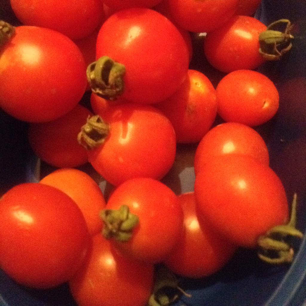 fjfzab's tweet image. @CompraSentado #CompraSentado