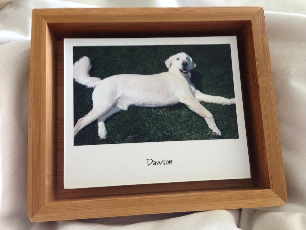 ⚡Jaclyn⚡ tweet media