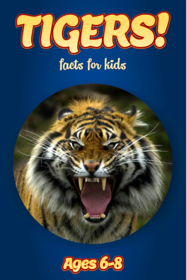 yr2_mtp's tweet photo. #5FactFriday on Tigers: "Mother tigers teach their cubs how to hunt" Lauren A &amp; Olivia A #CollabrativeLearners http://t.co/qM97vw8kRL