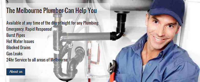 TheMelbournePlumber tweet media