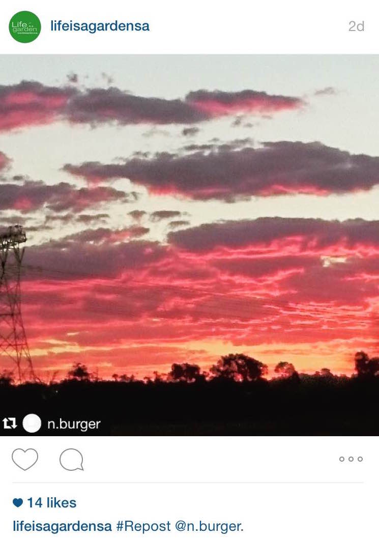 lifeisagardensa's tweet photo. Beautiful #colourfall entries from this week! :) Which is your favourite? http://t.co/mWAKKgN29o