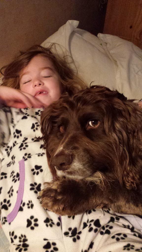 Dog realises he has been caught using human as pillow.