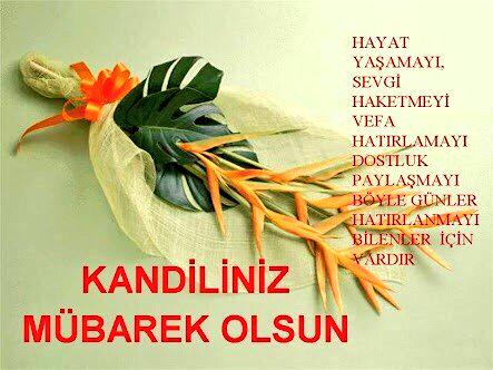 YasaRTE1's tweet photo. #MiracKandilimizMubarekOlsun
@ert974 @MahirAytekin @bayramaygun2 @HamideMercan @zaffer25 @dilaraguzellik1 @61ahmettt http://t.co/Ul9Rg2putu