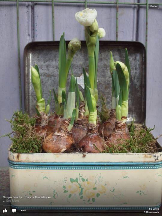 VintageStamford's tweet photo. Can't wait to browse @oldbarnvintage stall tomorrow at Stamford Vintage Fayre 11-4 The Arts Centre http://t.co/7w4oMsGBlW