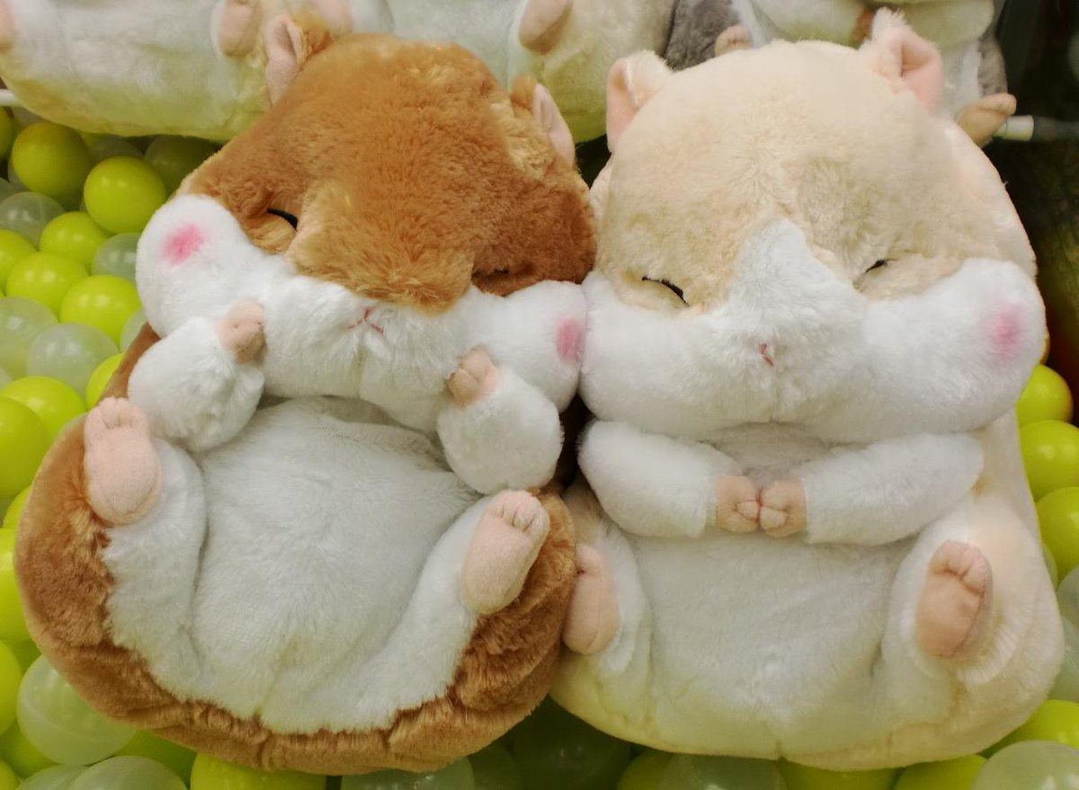【期間限定値下げ☆早い者勝ち】ころはむコロン　超BIGぬいぐるみ２点セット Amazon.co.jp: ころはむコロンBIG アミュファン(AMUFUN) Amuse ぬいぐるみ