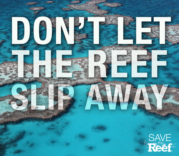 Greenpeace's tweet photo. You're just one click away from helping to protect the Great Barrier Reef. > http://t.co/ooiz5JVRDG http://t.co/lkHJOXeDQm
