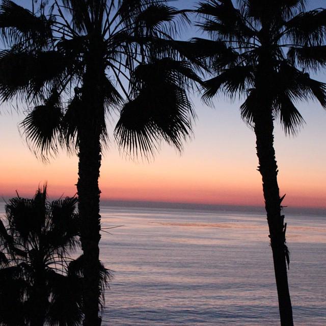 VinylrobotLA's tweet image. Another tweet in #samo santa monica #losangeles #beach -