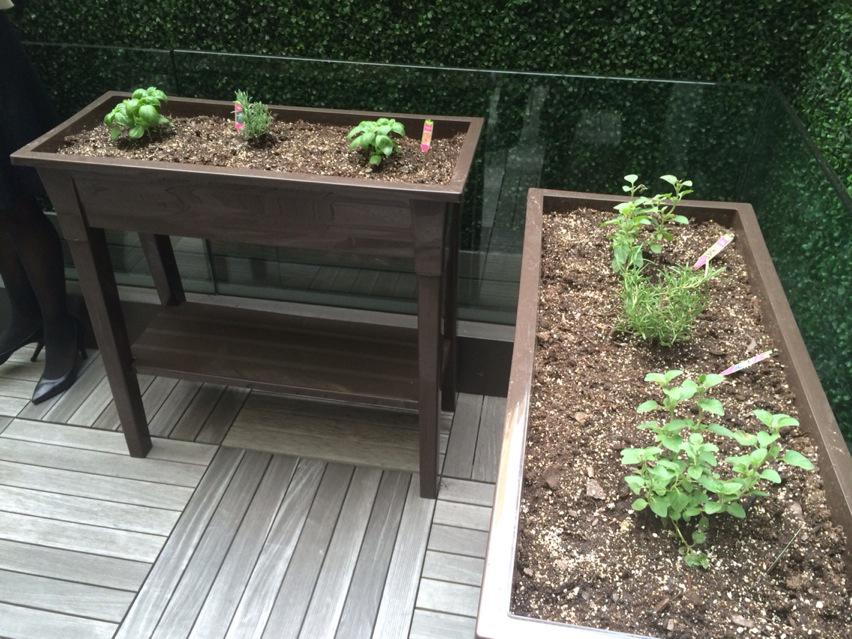 ChefMatt_NYC's tweet photo. First herbs of the season on the rooftop garden. #staygrand @GrandHyattNYC http://t.co/0pKmca6t9O
