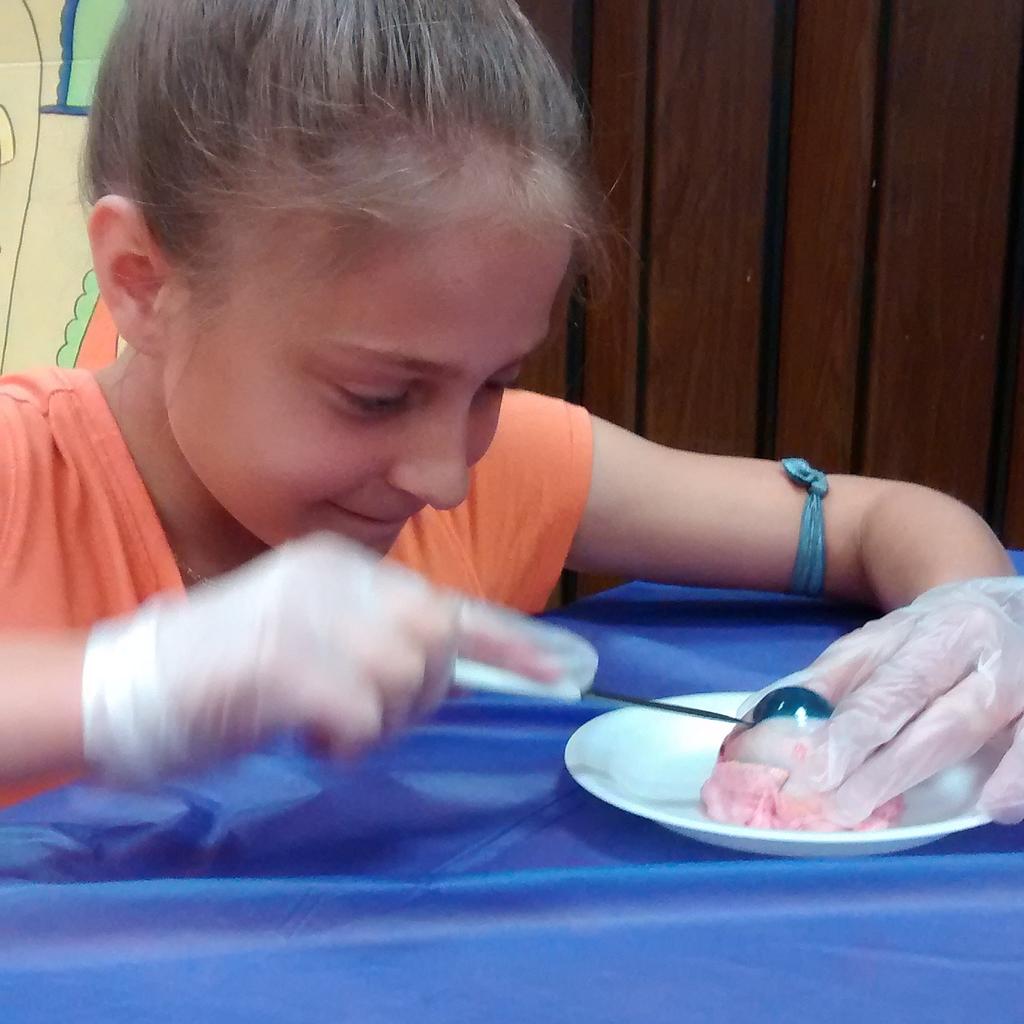 CHLisaD's tweet photo. My daughter loved dissecting the cow eye tonight.... May have a surgeon on my hands. #itstunk #believeinyourself http://t.co/NUwBoPJ0iF