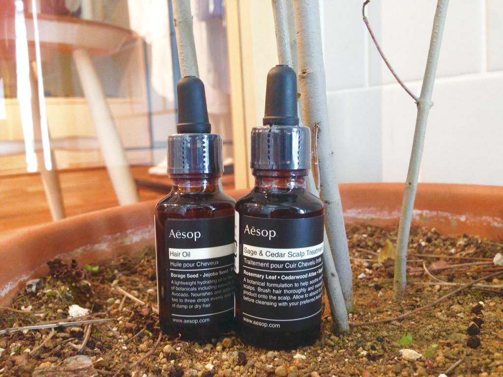 1ldk Aoyama Hotel Aesop スカルプトリートメント ヘアオイル ローズヒップ アーモンド アボカド由来の保湿 保護成分により ツヤと潤いのある髪へ 自然な植物の香りで癒し効果もあります 左 3 500 Tax 右 3 500 Tax Http T Co Pwoimjcr6c 1ldk Aoyama Hotel Aesop スカルプトリートメント ヘアオイル ローズヒップ アーモンド アボカド由来の保湿 保護成分により ツヤと潤いのある髪へ 自然な植物の香りで癒し効果もあります 左 3 500 Tax 右 3 500 Tax Http T Co Pwoimjcr6c