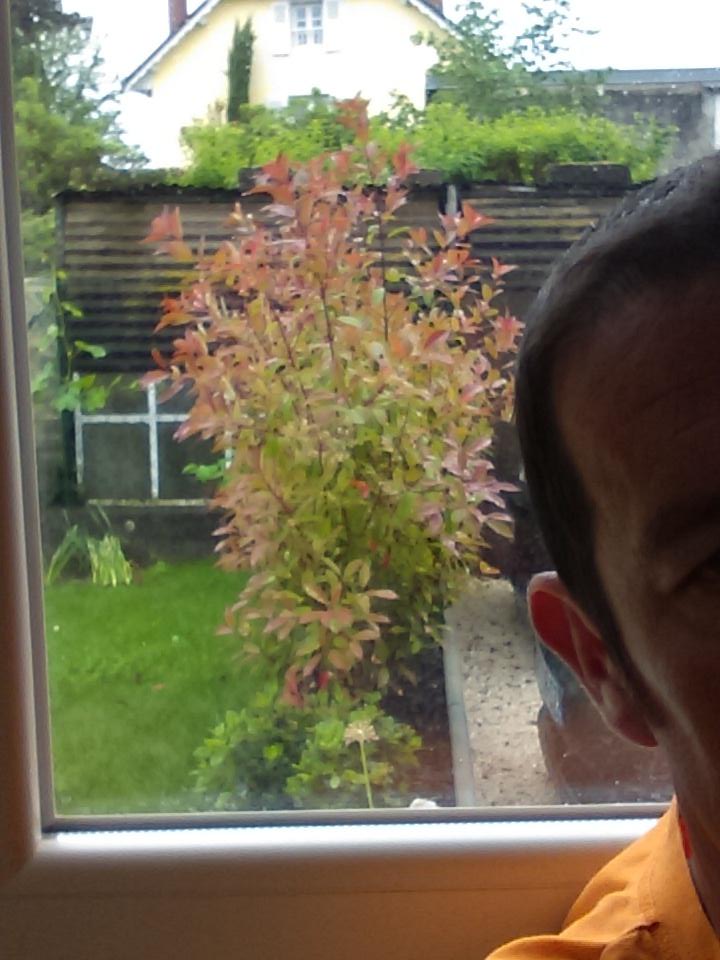 Seb C Est Moi Sebastientabert Twitter