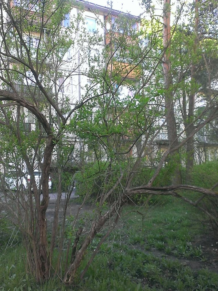 whoremaus's tweet photo. Скоро лето,пожалуй,можно и порадоваться) http://t.co/oSxKce6NMp