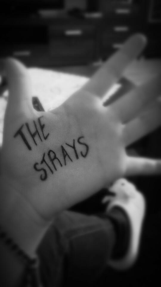 mitchel5SOSFam's tweet photo. #thestrays @SWStheband @Kellinquinn #music #ilovesws http://t.co/NzxlqlcVki