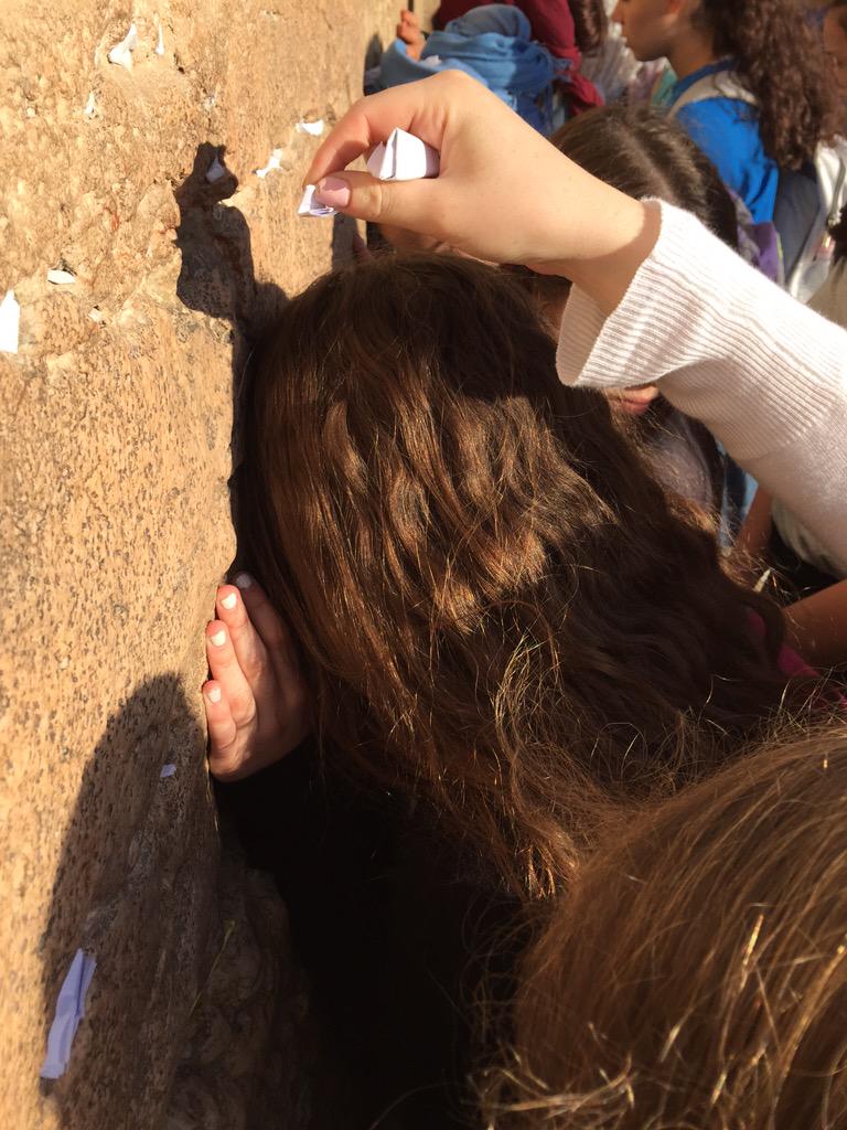 orna_willis's tweet photo. #davis8 http://t.co/0wColoQNGh