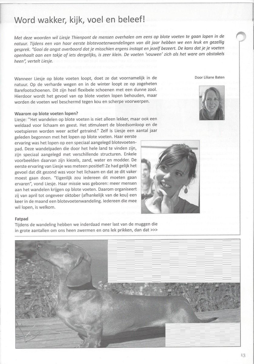 FeelmaxBenelux tweet picture