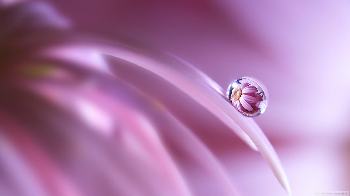 Günün Fotoğrafı/Photo Of The Day
goo.gl/N6MW57
#wallpaper #Su #Damla #Wather #Macro #Blob Hayırlı Cumalar