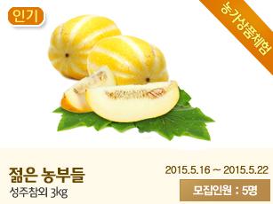 주부팜 젊은농부들 성주참외 체험!! 여름 열매 참외와함께 더위를 날려버려요~ cafe.naver.com/jubufarm/3715