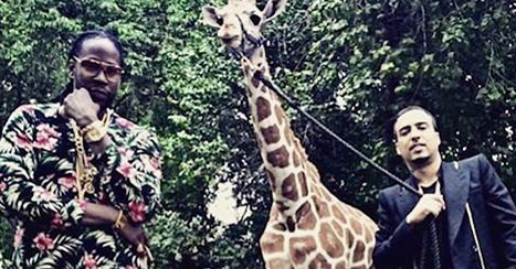 GQ_France's tweet photo. 2 Chainz et French Montana découvrent qu’on peut louer une girafe pour 40.000 $ http://t.co/hiKIExR2AL http://t.co/ossJSTadVJ