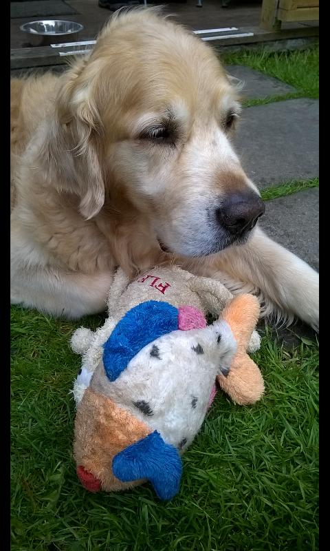 HarveyRetriever's tweet photo. Fish And Flea On Friday #FAFOF http://t.co/auk7DHuLnu