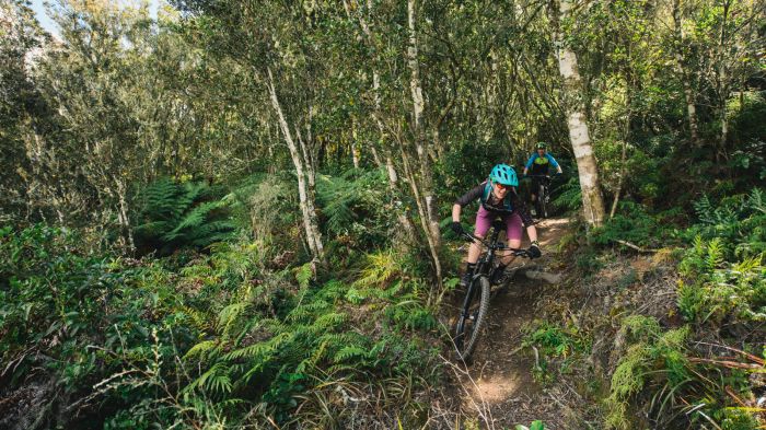 bikeradar's tweet photo. Stumpy not the only news from @iamspecialized. Welcome @specializedwmn Rhyme 650B - reviewed. http://t.co/kmZ91PSey6 http://t.co/sHiZsJYMnM