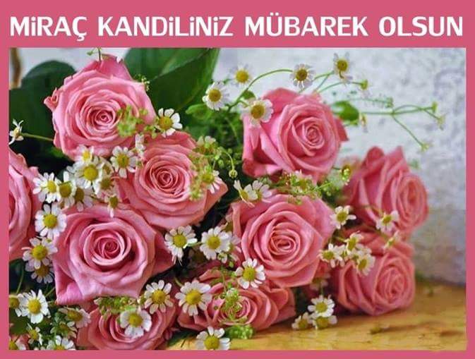 Gülbahçesine girenler gül olmasada gül gibi kokarlarKainatın en Güzel gülünün KokusuÜzerinizde olsun
MusMutLuSabahlar