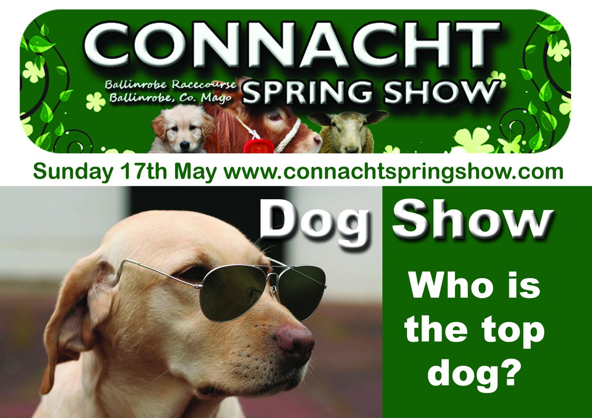 conspringshow's tweet photo. #2daysuntilshowtime....who is your top dog?? http://t.co/84xg39e0sm