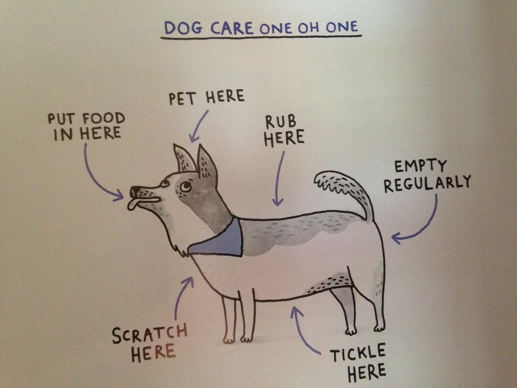 watersidedogs tweet picture