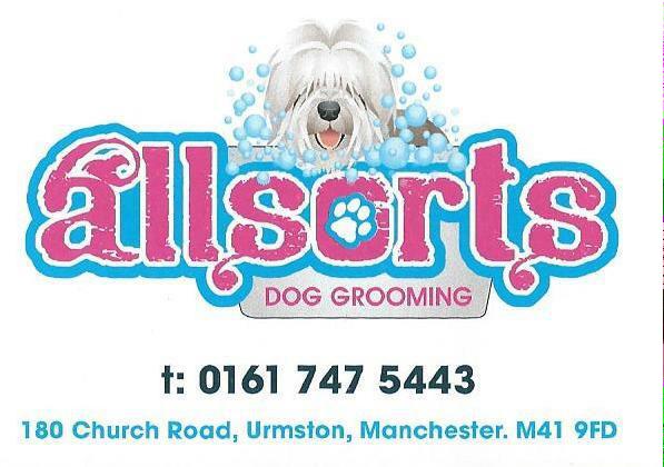 allsorts dog grooming