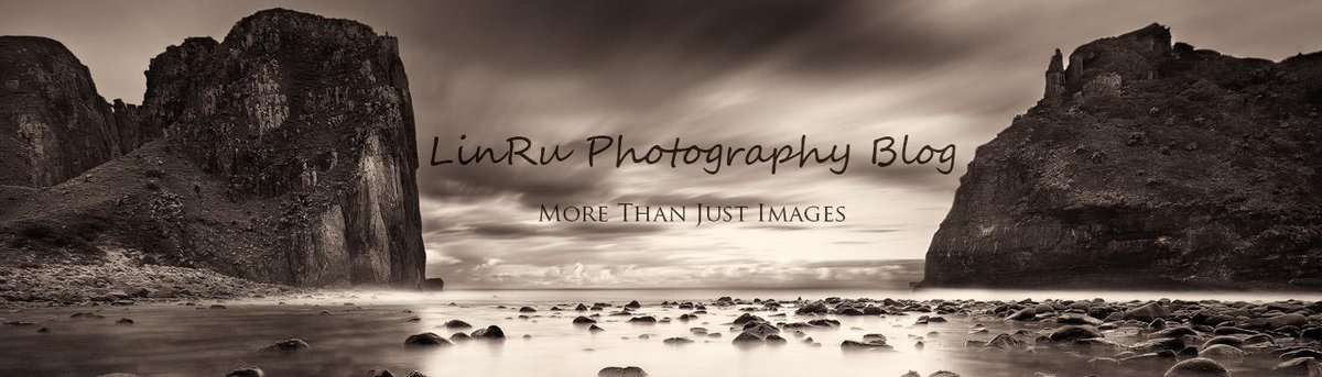 vdhPhotographic's tweet image. #Blogger to #WordPress ! My new self-hosted blog is up &amp;amp; running! #BloggerToWordpress #blog linruphotographyblog.com/2015/05/blogge…