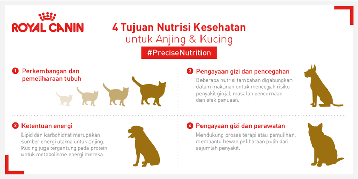 RoyalCanin_ID's tweet photo. Retweet postingan #PreciseNutrition ini, tambahkan komen kreatifmu & menangkan hadiah spesial senilai Rp 500.000! http://t.co/mpiF2gkChC