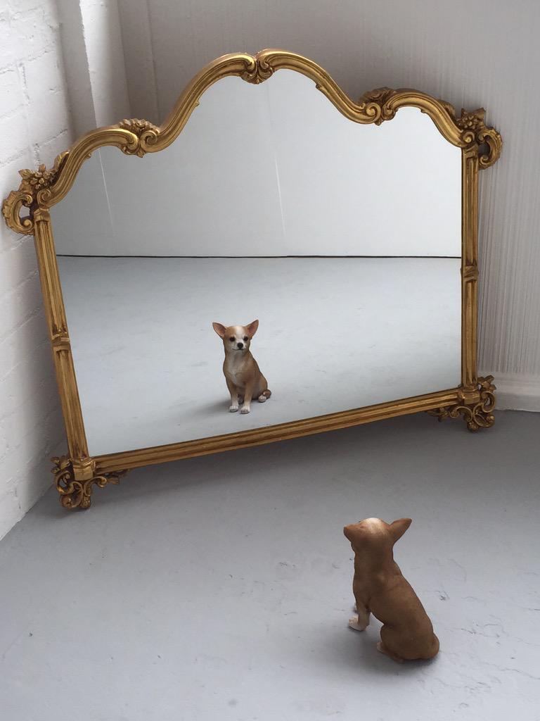 Degree show madness ensues. Meanwhile...