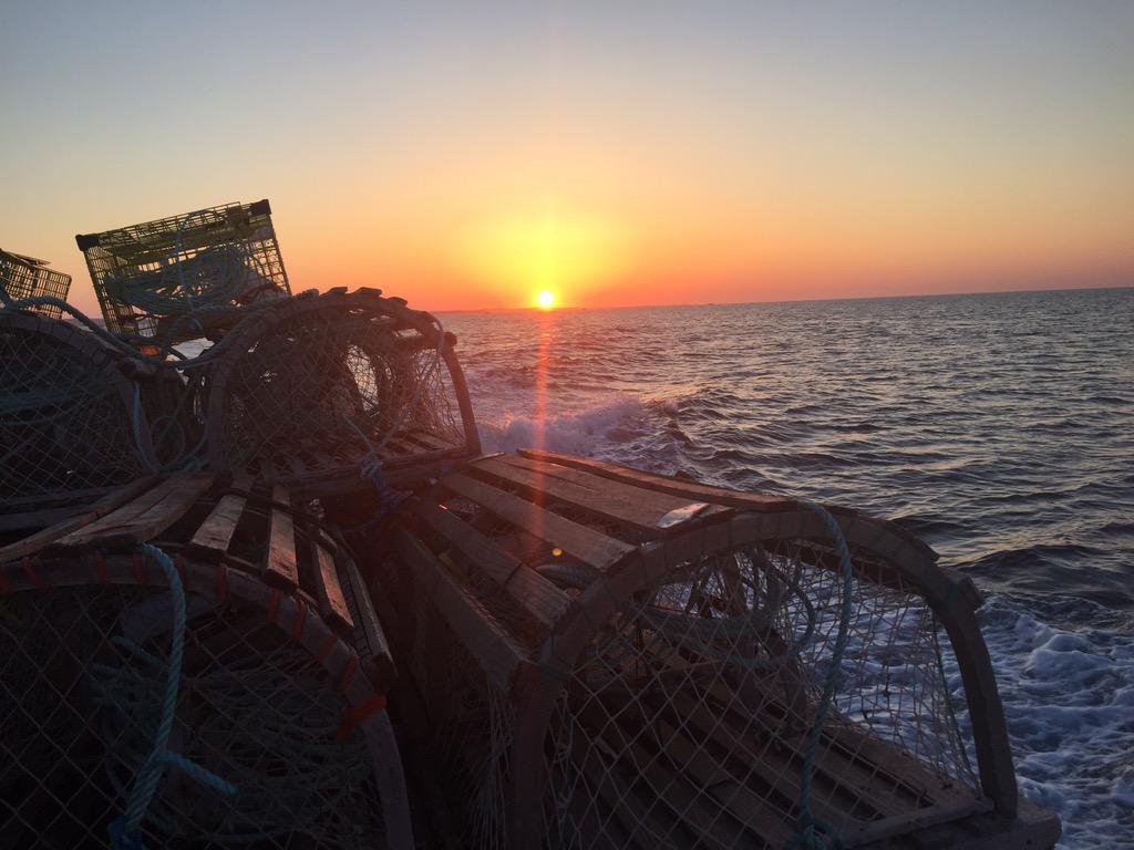 xcaper71's tweet photo. @cblobsters And there off! #SettingDay #MainADieu http://t.co/2KgPmiJyjH