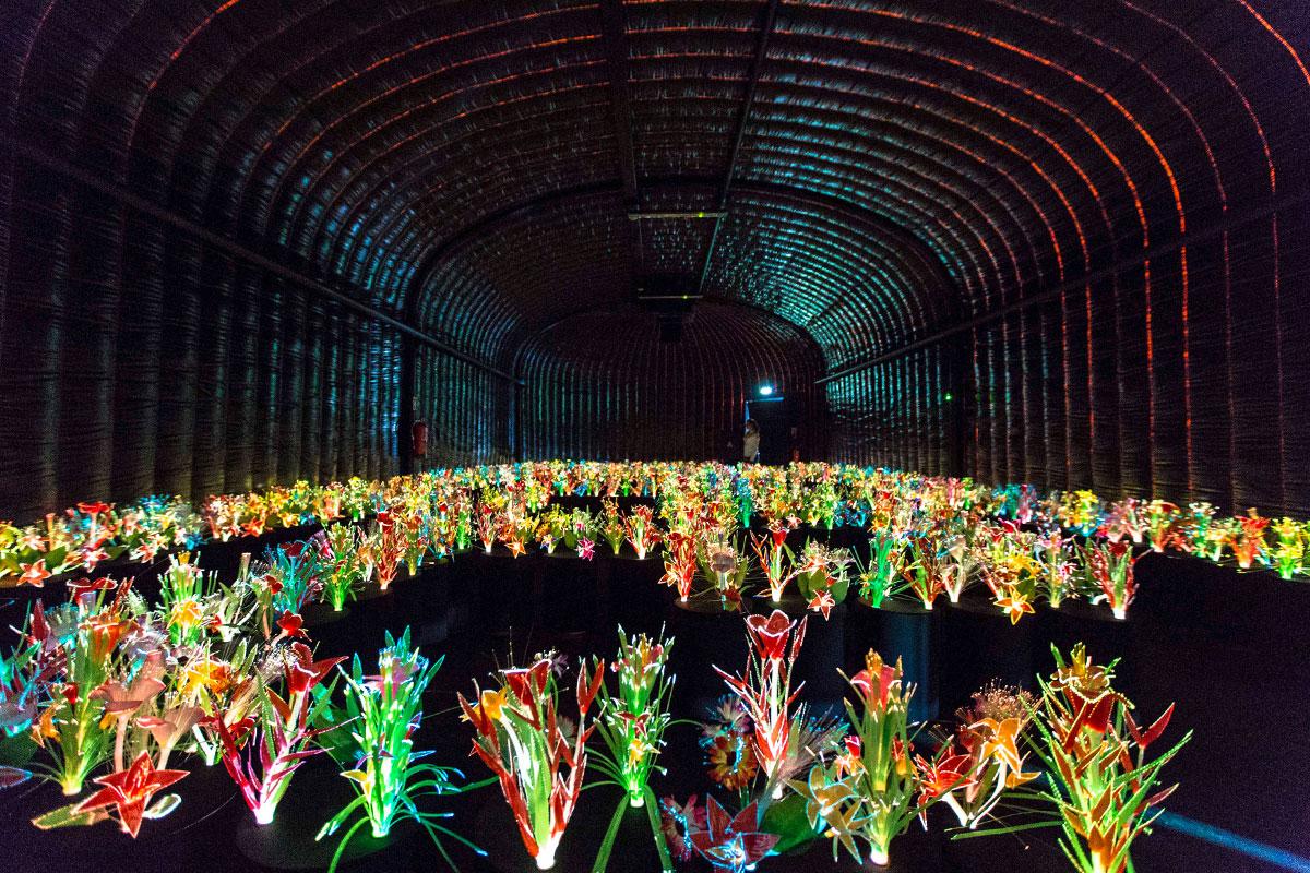 coolhunting's tweet photo. Glowing flowers, a sound project and more in @swatch's presence at #VeniceBiennale2015 http://t.co/LBze7j4ZU8 http://t.co/4o9TRCT4vC