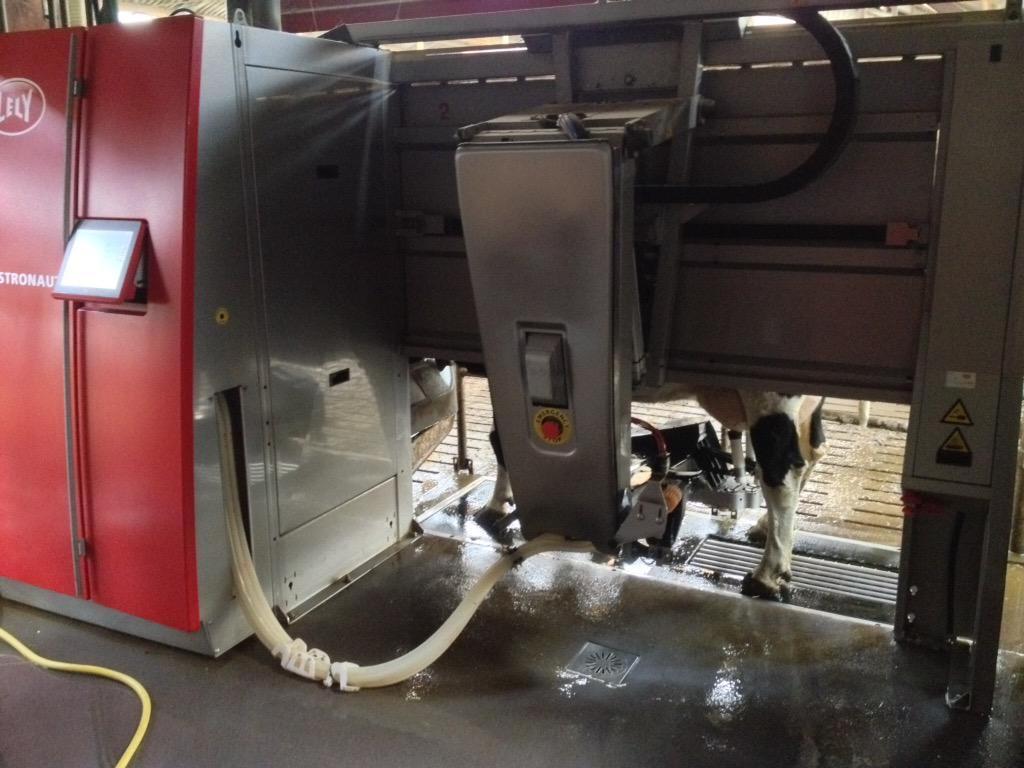 SietskeHilhorst's tweet image. Oh, wat een genot #Robotmelken... 
Na een avondje oerhard rocken @Oerrock