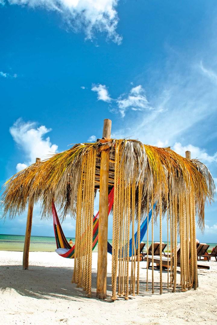 Condé Nast Traveller tweet media