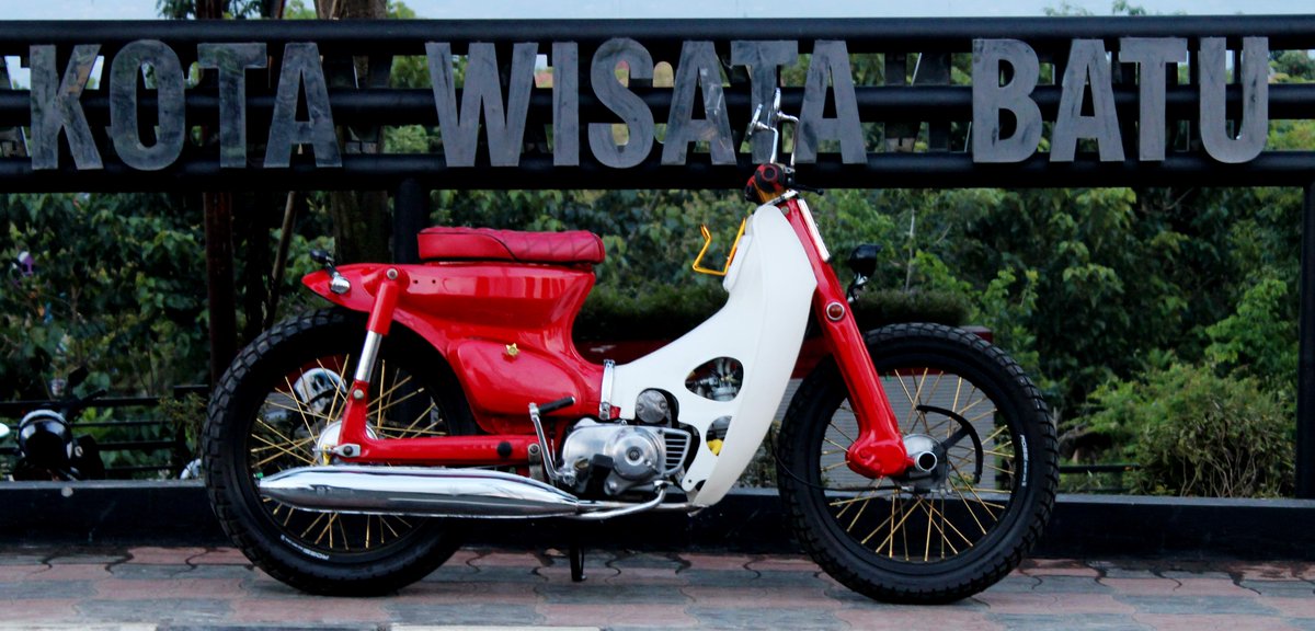 Berada di ketinggian 700 – 1800 MDPL