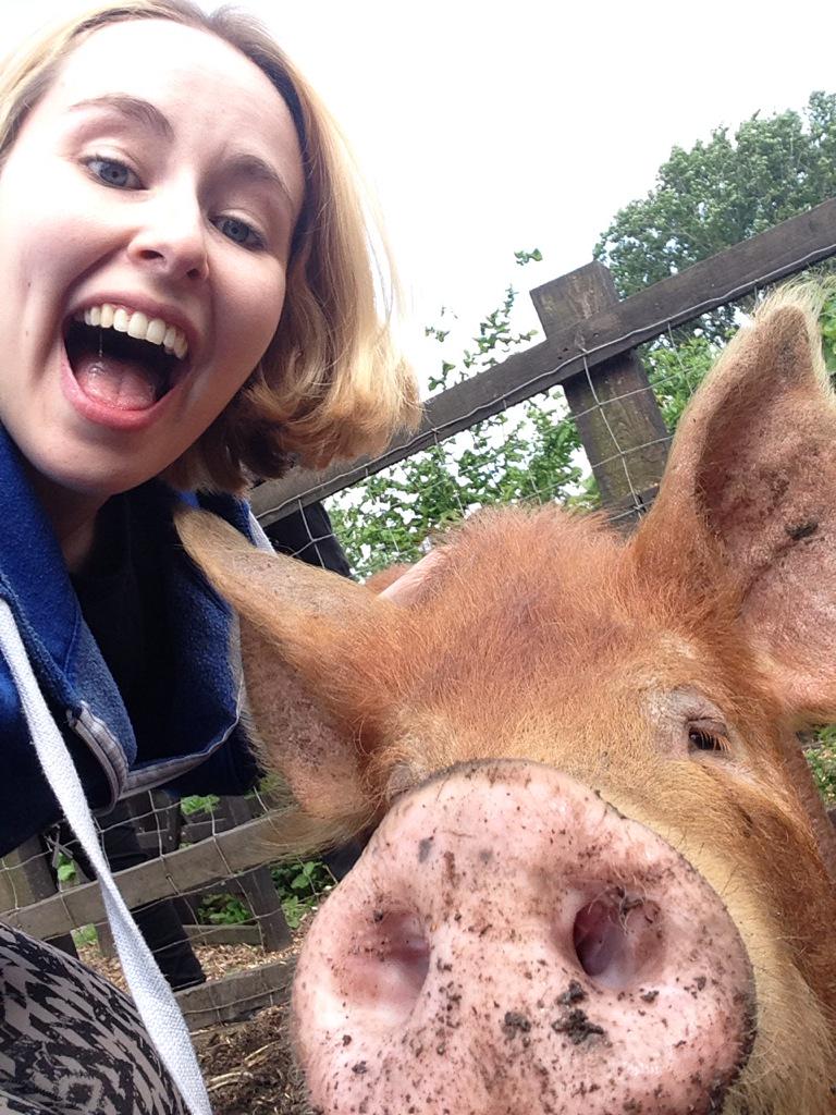 ems_house's tweet photo. PIGGY ❤️🐽 #AOLMHD http://t.co/Be7U0ru8fB