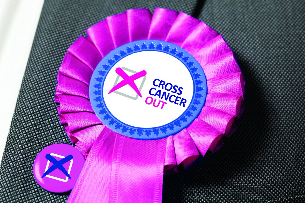 CRUK_Policy's tweet photo. 144 MPs committed to #CrossCancerOut ahead of the #GE2015 & keep cancer a political priority in the new Parliament http://t.co/bEB97kEWVF