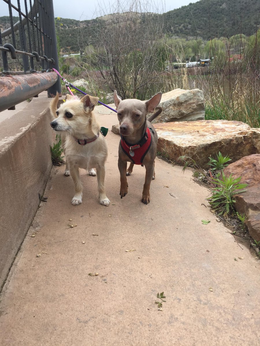 McGidget's tweet image. Hanging out in Glenwood Springs, CO with my bestie @JoseRagDog and @RagDiva
