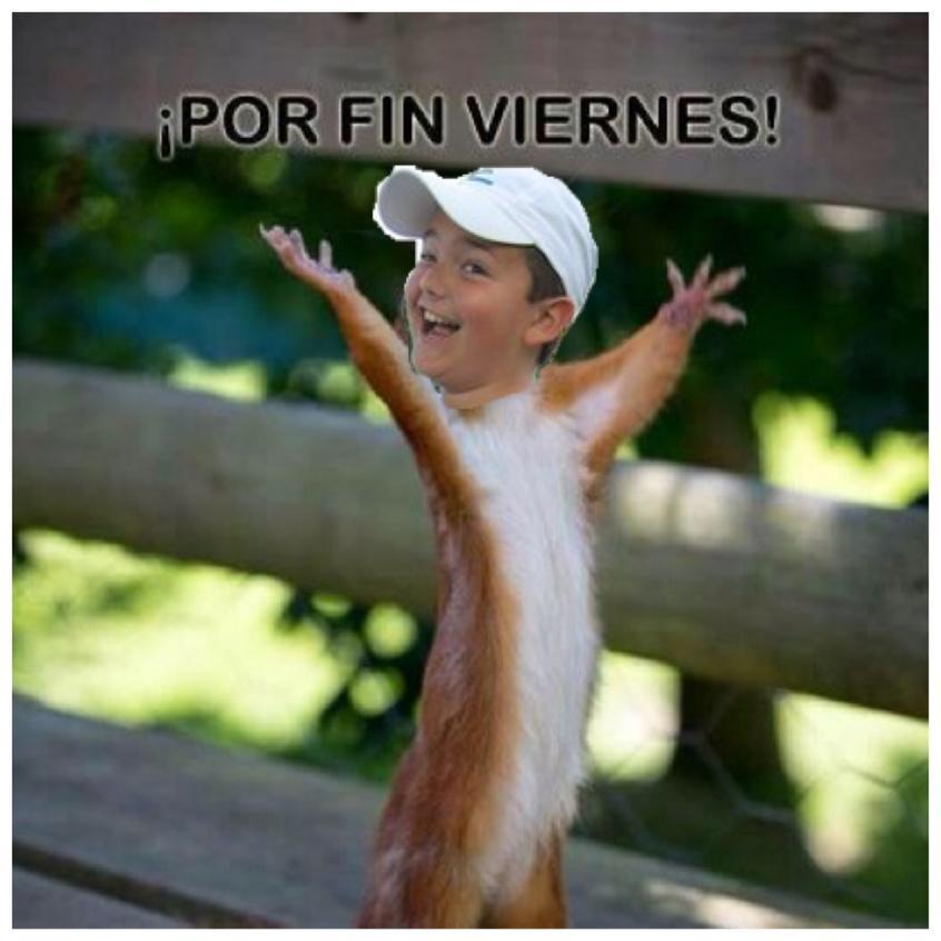 DaniRep's tweet photo. Jajajjajajajajajajajajajajajjajajajajajahajajajaj 😂😂😂😂😂😂😂😂😂😂 http://t.co/mN05d4EFnF